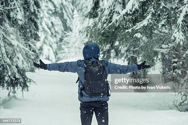 snow - borovets stock pictures, royalty-free photos & images