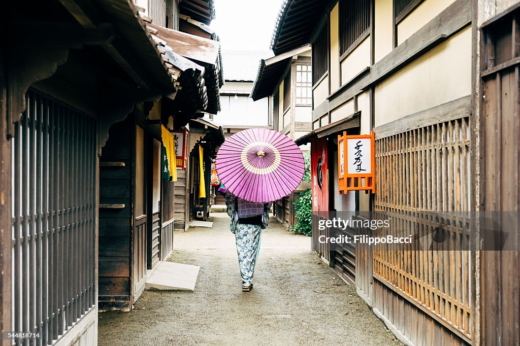 Japanese Woman In Traditional Clothes Walking in Kyoto