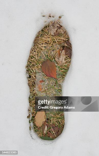 footprint in snow exposing autumn colored leaves - hatboro photos et images de collection