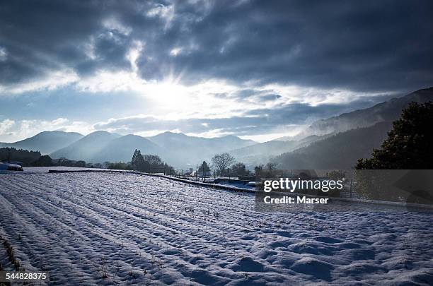 rice paddy covered with snow - kyoto covered with first snow of the season imagens e fotografias de stock