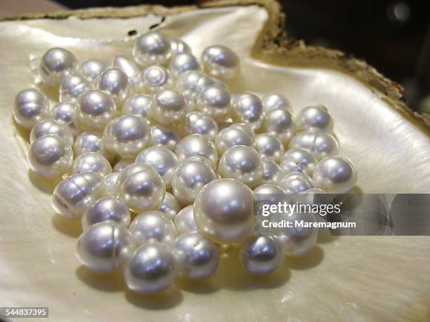 broome is the world capital for pearl cultivation - perla fotografías e imágenes de stock