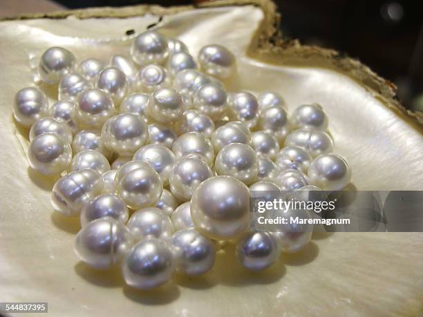 broome is the world capital for pearl cultivation - pearl stock pictures, royalty-free photos & images