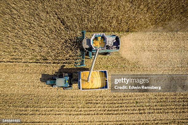 aerial look at harvesting - maisernte stock-fotos und bilder