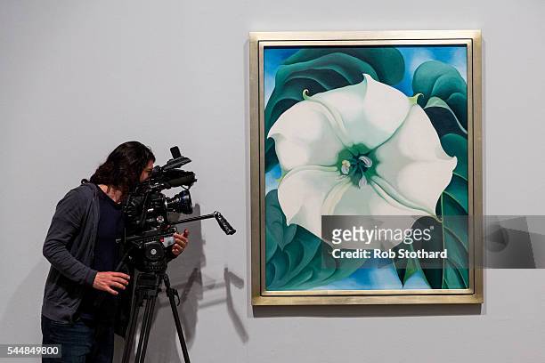 Journalists view 'Jimson Weed/White Flower No.1' by American artist Georgia O'Keeffe at Tate Modern on July 4, 2016 in London, England. The...
