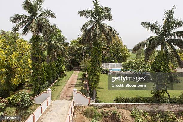 Trees line the road to landowner Kunwar Vikram Jeet Singh's mansion in Kuchesar, Uttar Pradesh, India, on Tuesday, May 24, 2016. Singh is one of...