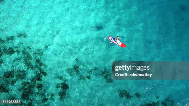 aerial view of woman on paddleboard - paddleboard stock pictures, royalty-free photos & images