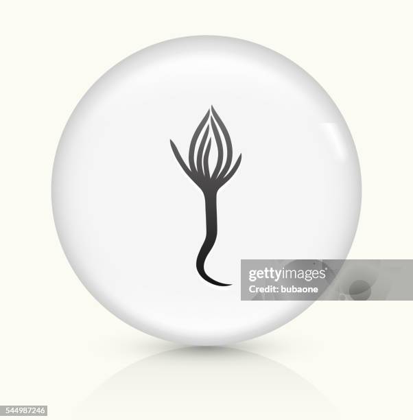 pine tree seed icon on white round vector button - vegetable seed sprouting stock illustrations