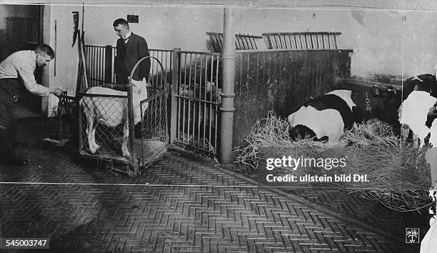 Emil von Behring*15.03.1854-+ Physician, physiologist, GermanyNobel Prize in Medicine 1901Behring Institute in Marburg: model stablesPhoto: Waldemar...