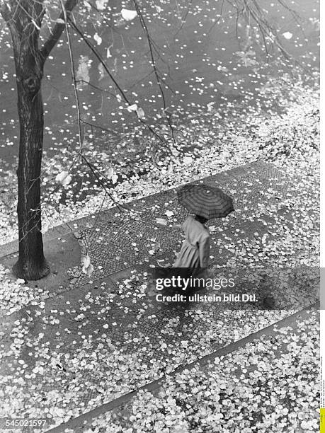 Eine Frau im Regenmantel mit Regenschirm läuft auf einem Gehweg mit Herbstlaub 1953