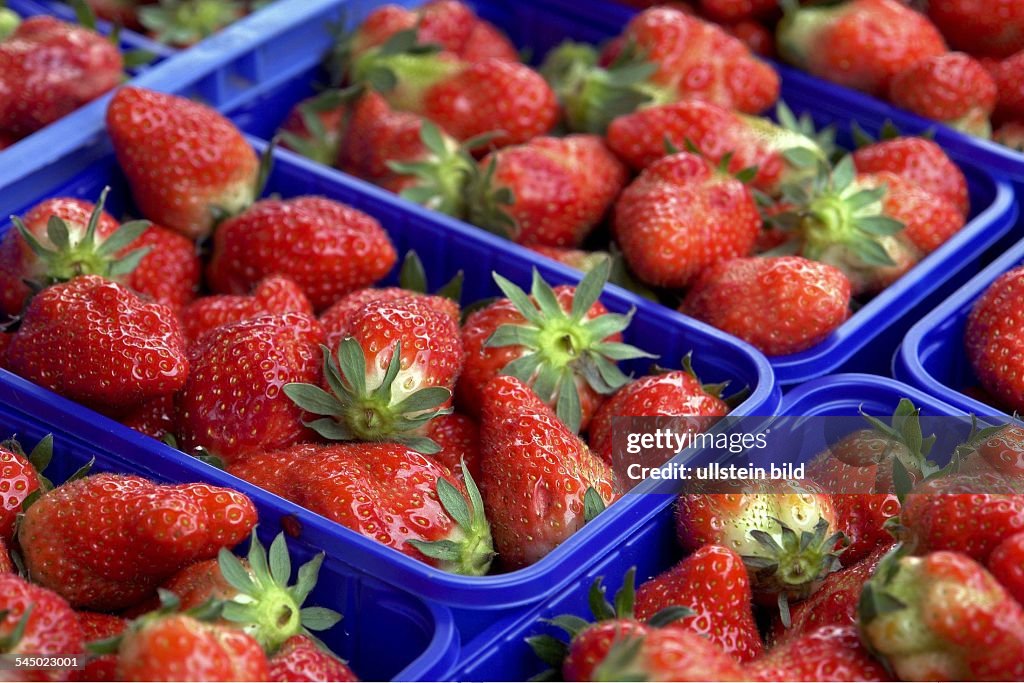 Strawberries in plastic boxes,