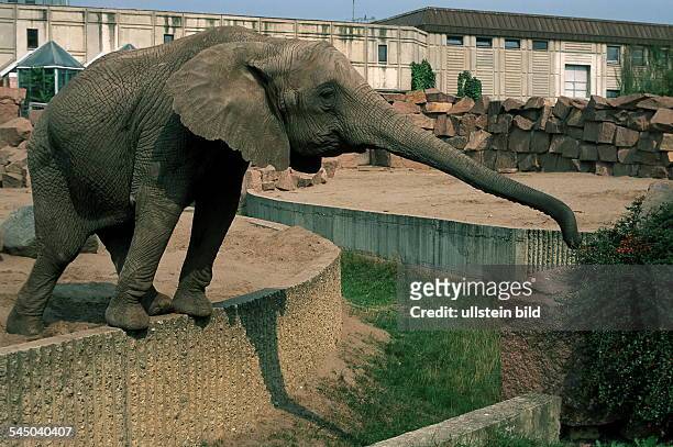 Elefantengehege- 1999