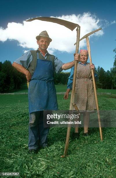 Bergbauer mit seiner Frau beim Mähen einer Wiese- 2001