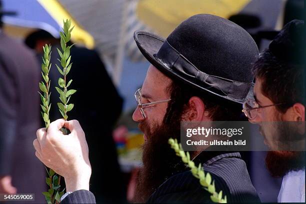 Laubhüttenfest bzw. Sukkot :orthodoxer Jude beim Aussuchen desMyrtenzweiges in Jerusalem- 1997