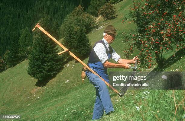 Bergbauer schärft seine Sense- 2001