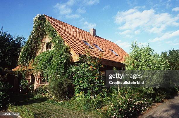 Einfamilienhaus mit dichtemBewuchs von Knöterich und Malven- 1995