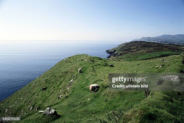 Küstenlandschaft im Donegal- 1994