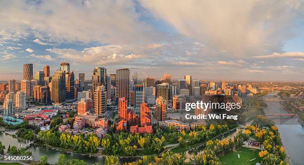 aerial view of calgary downtown - calgary imagens e fotografias de stock