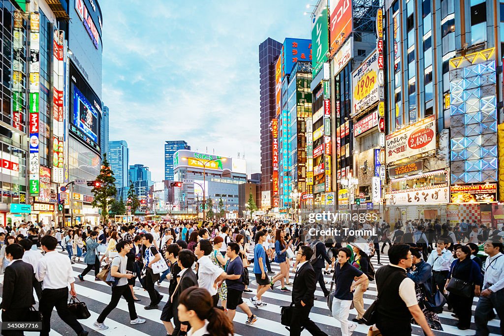 Zebra crossing in Shinjuku, Tokyo at sunset