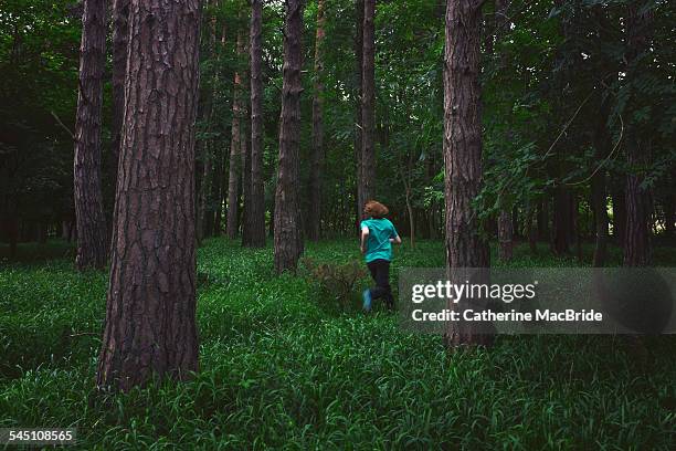 run in the forest - catherine macbride stock pictures, royalty-free photos & images