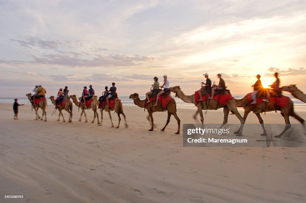 Sunset camel ride along the beach