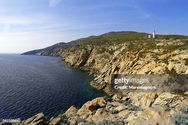 punta capel rosso - giglio stock-fotos und bilder