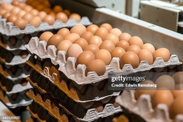 cartons of brown eggs - ovo de animal imagens e fotografias de stock