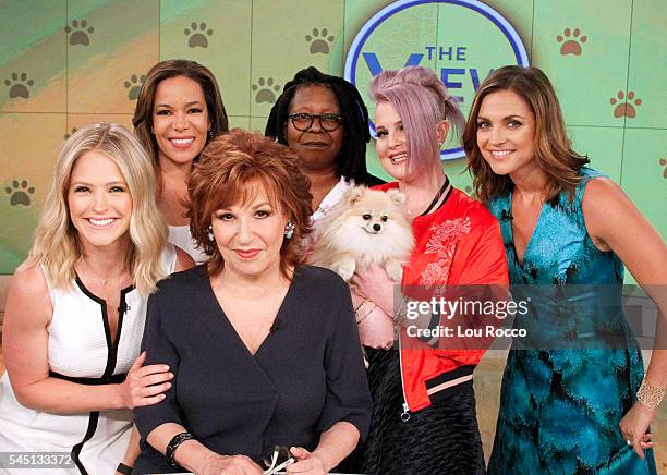 The View's" Eighth Annual Mutt Show airs Friday, July 1 2016 airing on the Walt Disney Television via Getty Images Television Network. SARA HAINES,...