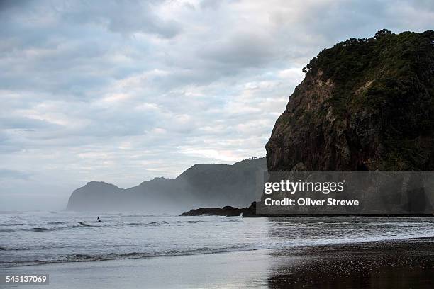 lion rock piha beach - waitakere city stock pictures, royalty-free photos & images