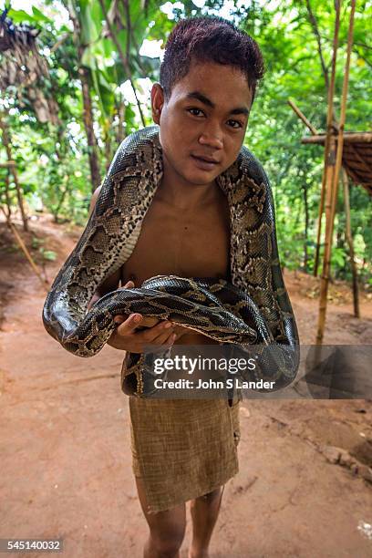 Philippines Native Python 82 Indigenous Filipinos Stock Photos, High-Res Pictures, and Images ...