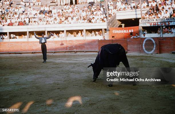 Banderillero gets ready to throw his banderillas at the bull during a bullfight in Mexico City, Mexico.