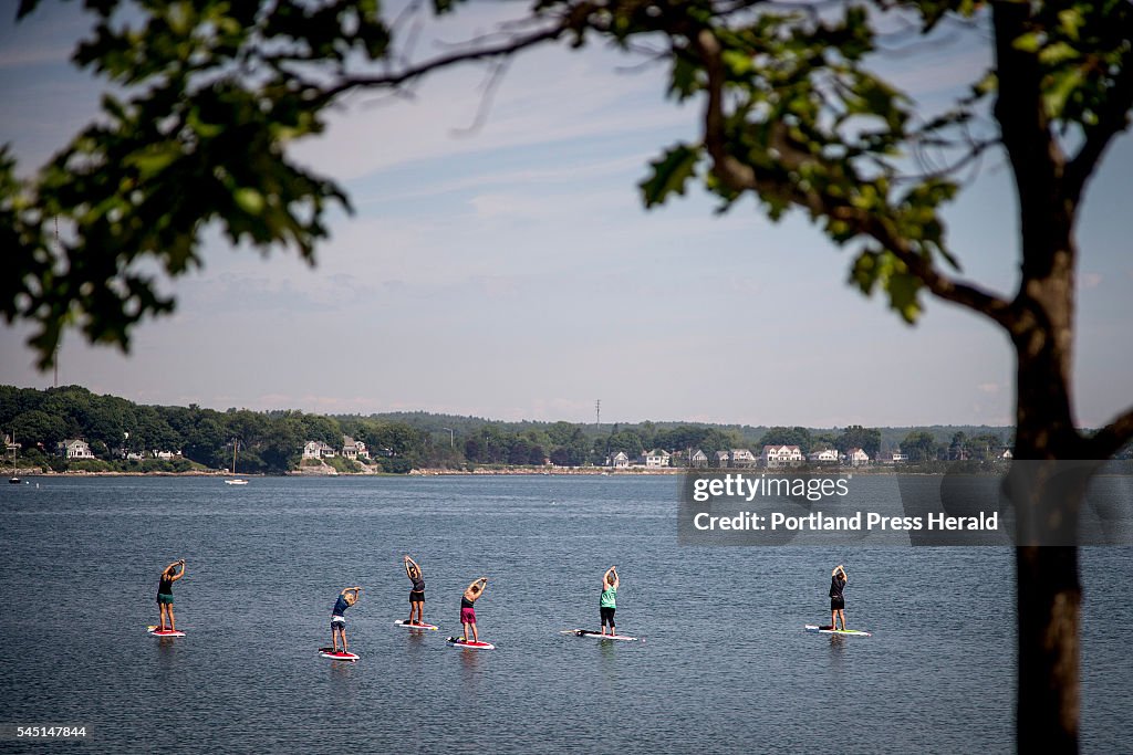 Paddle board feature