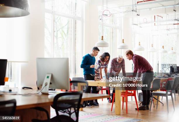 colleagues discussing a green energy project - tisch betrachten stock-fotos und bilder