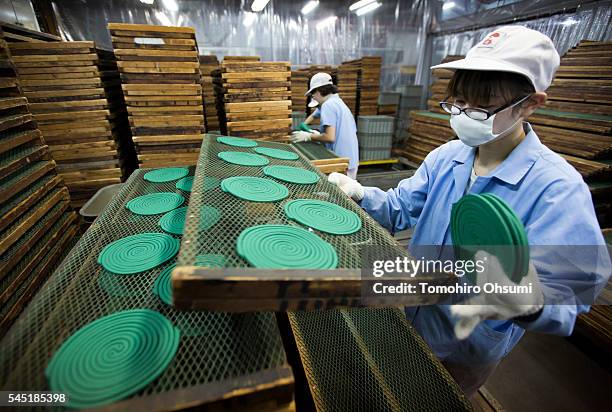 An employee sorts mosquito coils at the Kishu Factory of Dainihon Jochugiku Co. Ltd. On July 6, 2016 in Arita, Japan. Japanese insect repellent...