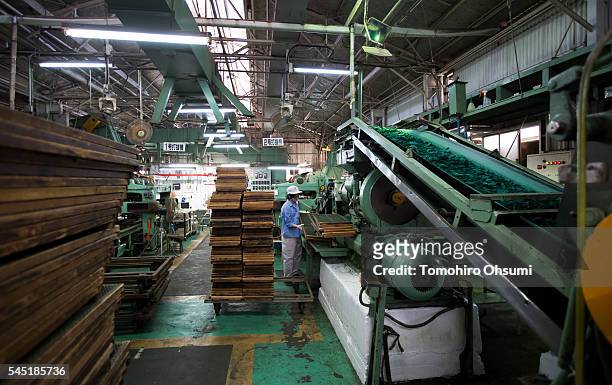 An employee works on the production line of mosquito coils at the Kishu Factory of Danihon Jochugiku Co. Ltd. On July 6, 2016 in Arita, Japan....