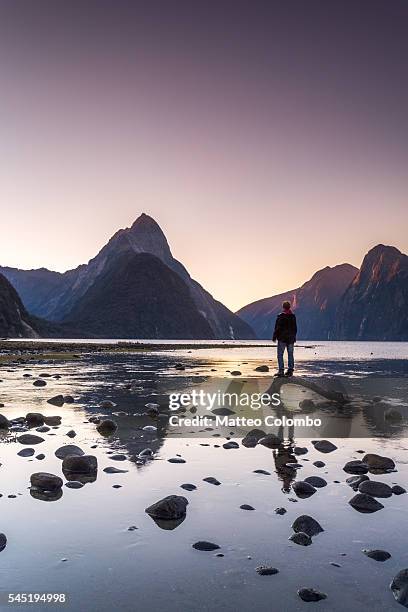 traveler looking at view, milford sound, new zealand - milford sound stock pictures, royalty-free photos & images