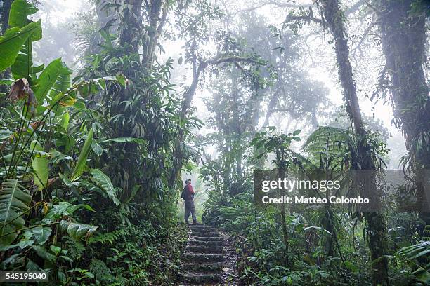 tourist on a track in the monteverde cloud forest, costa rica - モンテベルデ雲林保護区 ストックフォトと画像