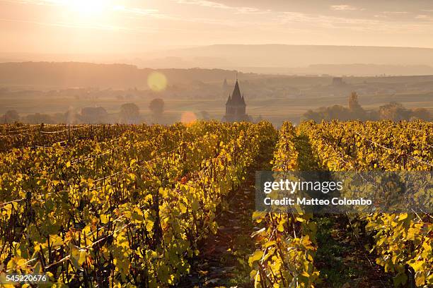 village and vineyards in autumn, champagne, france - champagne fotografías e imágenes de stock