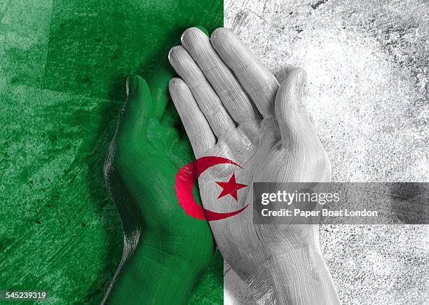 algerian flag painted on two hands cupped together - algerian flag stockfoto's en -beelden