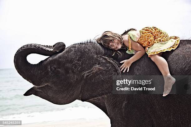 5 year old girl on baby elephant - asian elephant fotografías e imágenes de stock