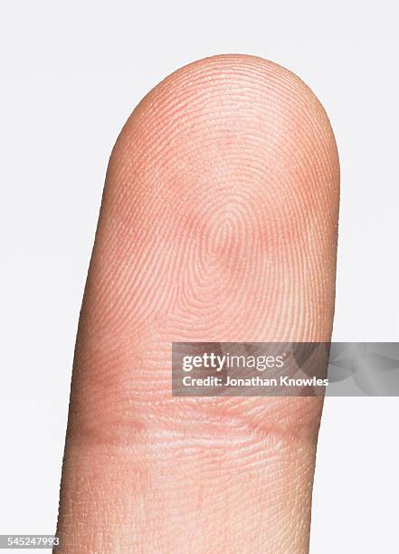 image of a finger with visible lines - fingerprinting stock-fotos und bilder