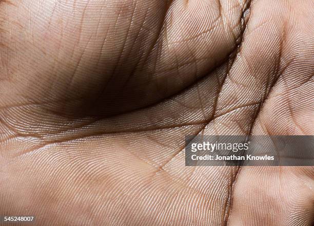 close up of a human hand - close up stockfoto's en -beelden