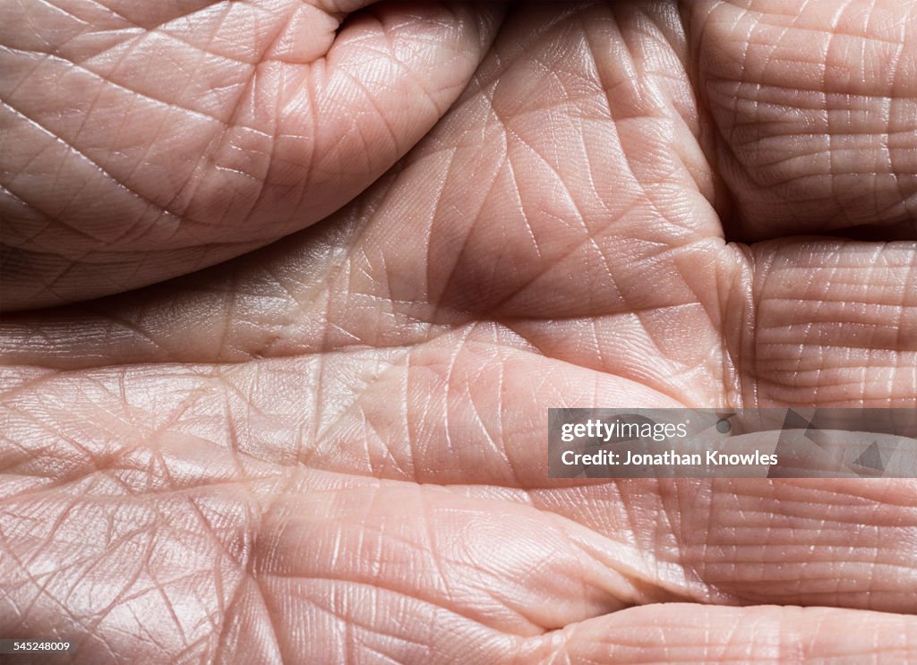 Close up of a mature hand with visible lines