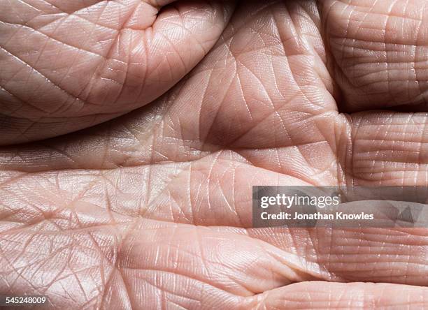 close up of a mature hand with visible lines - palmistry hand stock pictures, royalty-free photos & images