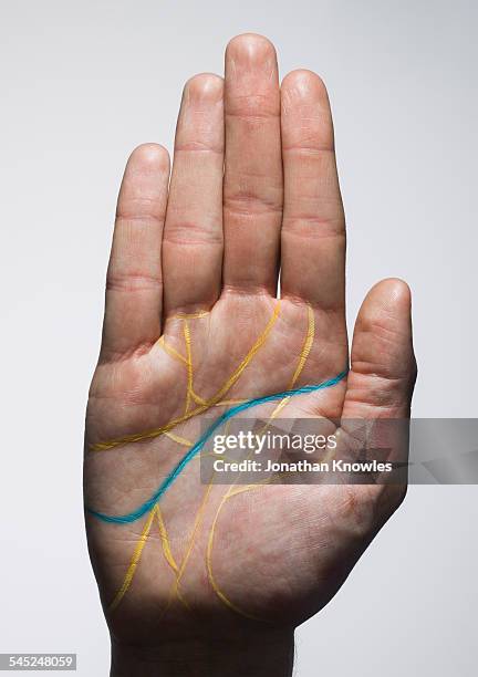 hand with many yellow lines and a single blue - handfläche stock-fotos und bilder