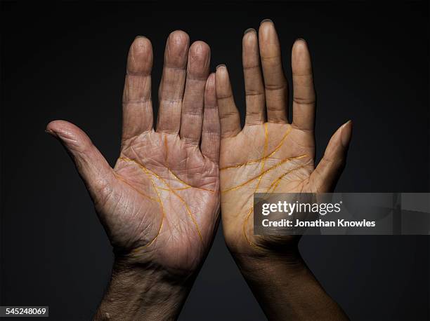 female and male hands of different colour and age - handfläche stock-fotos und bilder