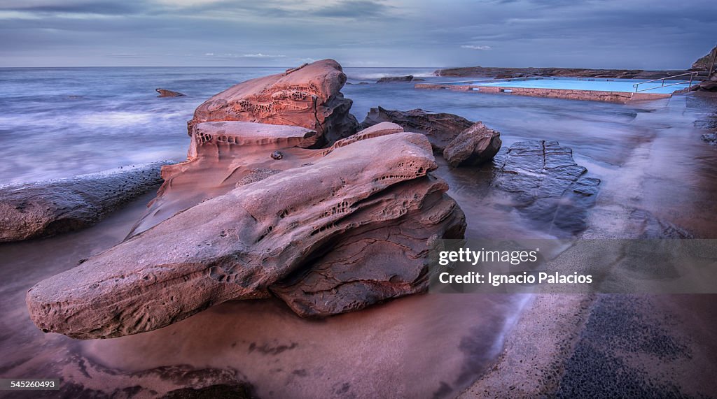 Whale beach rock pool