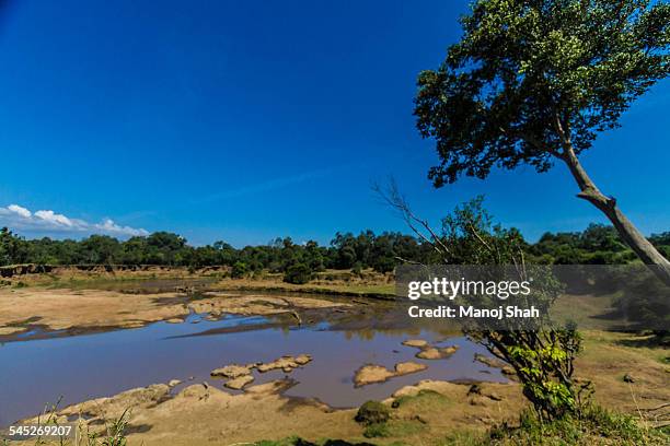 mara river landscape - kiribati stockfoto's en -beelden