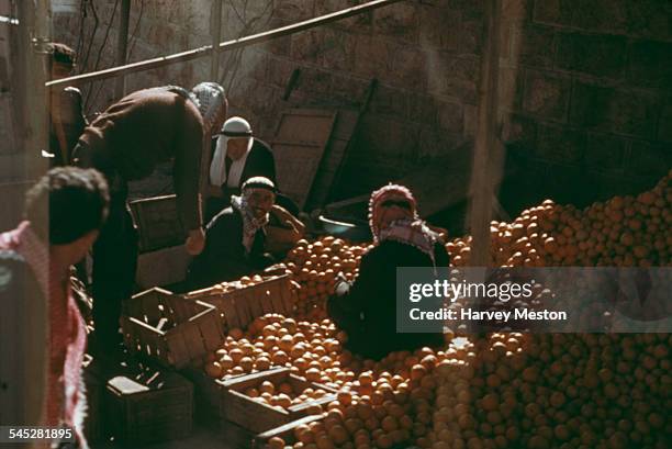 Men load oranges into crates on a street in Hebron, Palestine, circa 1960.