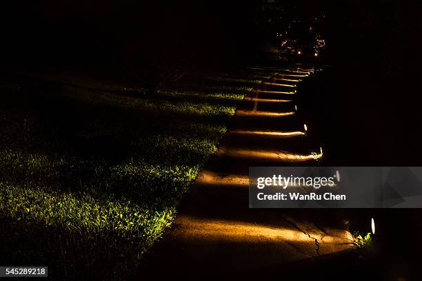 trees in the park at night - light path stock pictures, royalty-free photos & images
