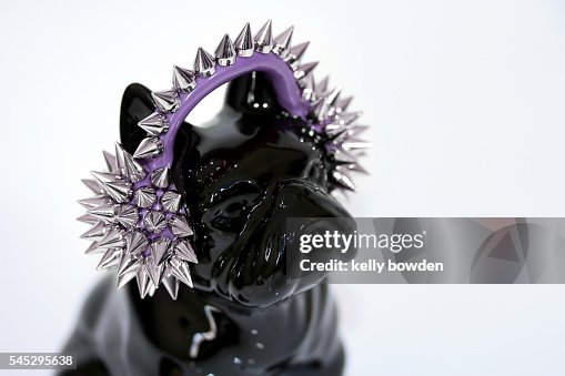 Love music dog wearing headphones Love music dog wearing headphones